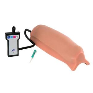 3B Scientific Intramuscular Injection Simulator - Upper Leg