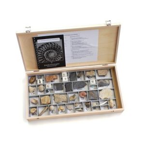 3B Scientific Stratigraphic Collection 40 Fossils