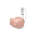 3B Scientific Catheterization Simulator Pro, Female