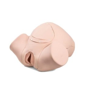 3B Scientific Birthing Simulator Basic New
