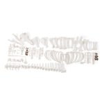 3B Scientific Pig Skeleton, F, Disarticulated