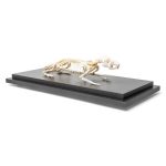 3B Scientific Rat Skeleton, Specimen