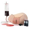 3B Scientific Postpartum Hemorrhage Trainer - PPH Trainer