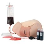 3B Scientific Postpartum Hemorrhage Trainer - PPH Trainer