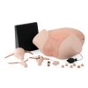 3B Scientific Gynecologic Skills Trainer