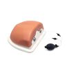 3B Scientific Image Guided Thoracic Spinal Injection Trainer