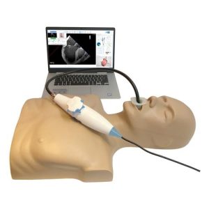 3B Scientific MrTEEmothy Standard Transesophageal Echocardiography Simulator