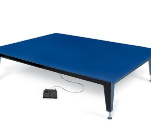 Hausmann Bariatric Electric Mat Platform