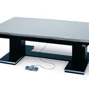 Hausmann 1449 Dual Lift Powermatic Mat Platform