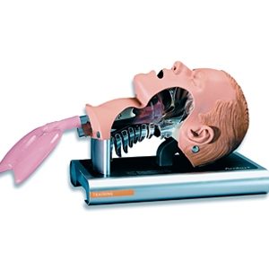 Ambu Airway Management Trainer