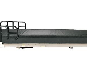 Gendron Bariatric Low Bed, 850 lbs Weight Capacity