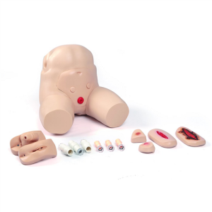 Laerdal In-Service Home Care Training Simulator