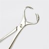 Sklar Ollier Bone Holding Forceps, 7', 2 x 2 prongs