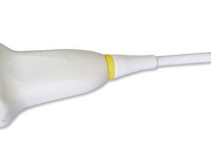 SonoScape C543 Transducer