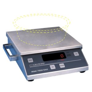 Diaper and organ scale - standard capacity (3 kg) external power (B)