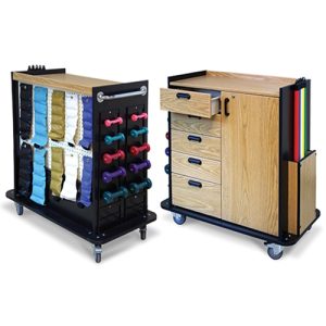 Hausmann 5556 Mobile Therapy Station