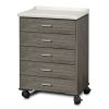 Clinton 8950-AF Fashion Finish, Molded Top, Mobile Treatment Cabinet with 5 Drawers