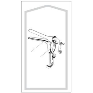 Sklar Large Econo-Sterile Pederson Vaginal Speculum Disposable, Sterile Unit of Measurement: Case of 50