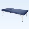 AM641 Electric Hi-Lo Mat Table w/ Adj. Backrest - 4' x 7' x 20' H