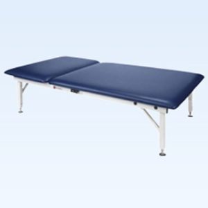 AM641 Electric Hi-Lo Mat Table w/ Adj. Backrest - 4' x 7' x 20' H