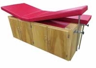 Bailey Cabinet Treatment Table with Adjustable Dual Legrest & Adjustable Backrest