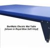 Bariatric Electric Hi-Lo Mat Table 6' x 8' - 1000 lbs Capacity