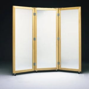 Bailey Child Size 3-Way Mobile Treatment Mirror