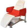 Arjo 120V Wellness Nordic Relax Chair with Trolley