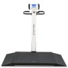 Detecto Wheelchair Scale - Portable - Digital - Folding Column