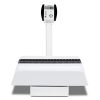 Detecto Baby Scale - Digital - Tray - 130lb x 0.1lb / 59kg x 0.5kg