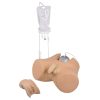 Erler Zimmer Catheterization Trainer with Male Genital Insert (Henri) and Female Genital Insert (Florence)