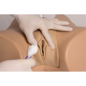 Erler Zimmer Bladder Catheterization Simulator Florence (Female)