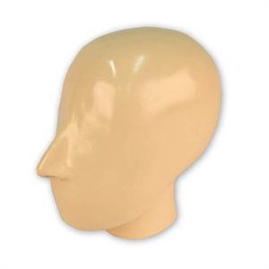 Erler Zimmer X-ray Phantom Head with Cervical Vertebrae (Opaque)
