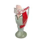 Erler Zimmer Functional Larynx, 4 Times Life Size