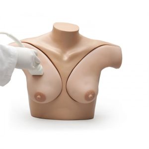 Erler Zimmer Breast Phantom Simulator