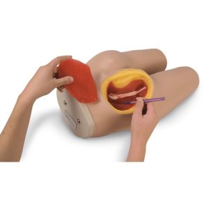 Nasco Life or Form Intramuscular Injection Simulator