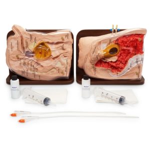 Nasco Life or Form Cath-Ed 1 and Cath-Ed 2 Simulators Set