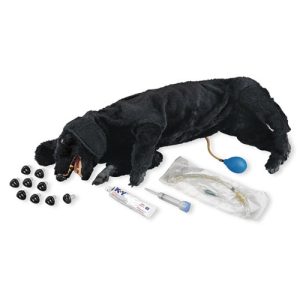 Nasco Life or Form Basic Sanitary CPR Dog