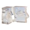 Erler Zimmer Transparent Model Nose