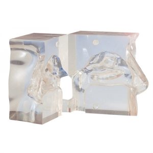 Erler Zimmer Transparent Model Nose