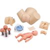 Erler Zimmer Multipurpose Birth Simulation Model