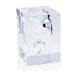 Erler Zimmer Transparent Laryngopharynx Model