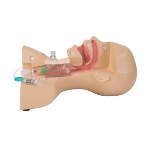 Erler Zimmer Tracheostomy Management Simulator
