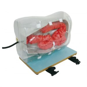 Erler Zimmer Colonoscopy Simulator