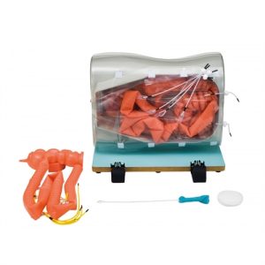 Erler Zimmer Optional Small Intestine Extension (Semi-difficult Version)