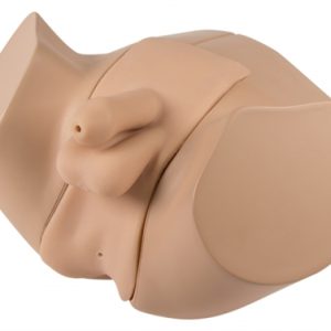 Erler Zimmer Male Catheterization And Enema Simulator