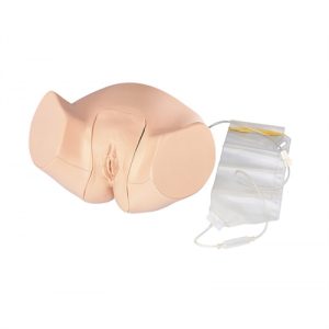 Erler Zimmer Female Catheterisation Model