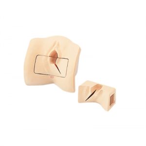Erler Zimmer Episiotomy Suture Simulator