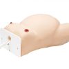 Erler Zimmer External Cephalic Version Model