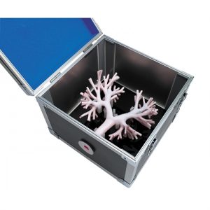 Erler Zimmer Bronchoscopy Trainer